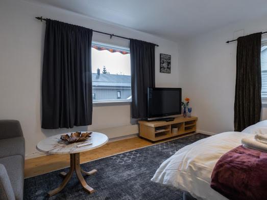 Aurora Dream House Apartment With Free Parking Tromso Exterior photo